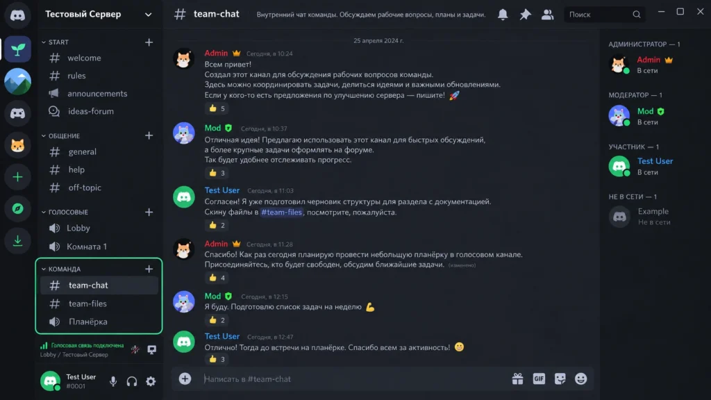 Права доступа категории Discord с ролью Команда и синхронизацией каналов