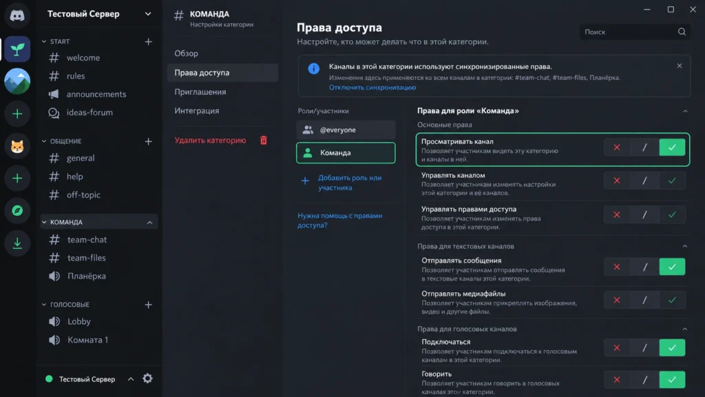 Категория Discord с несколькими текстовыми и голосовыми каналами