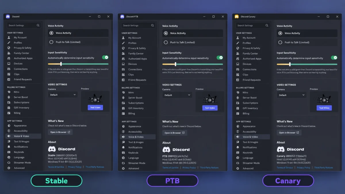 Discord Stable, PTB и Canary с открытыми настройками клиента