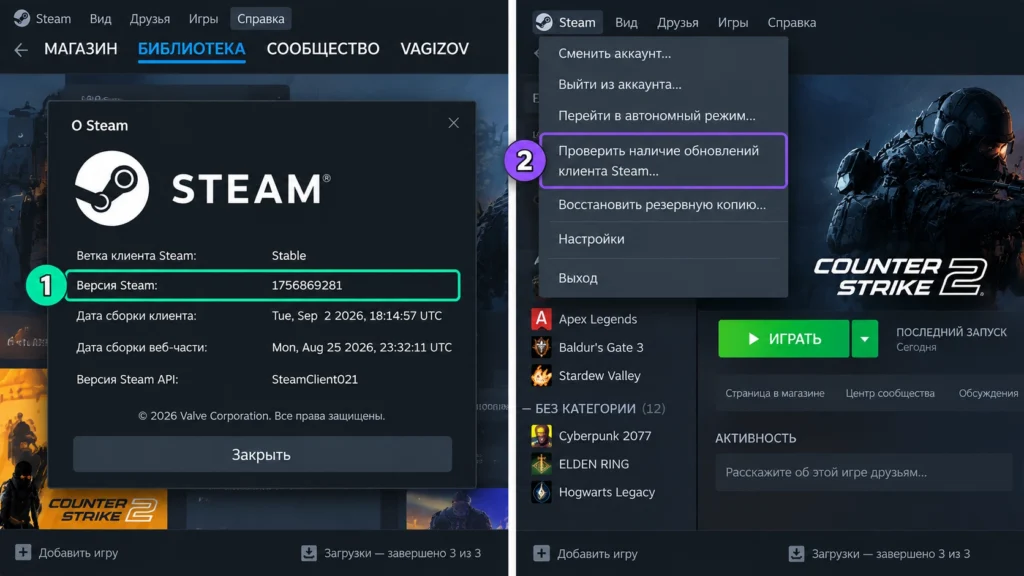 номер установленной версии Steam и пункт проверки обновлений клиента