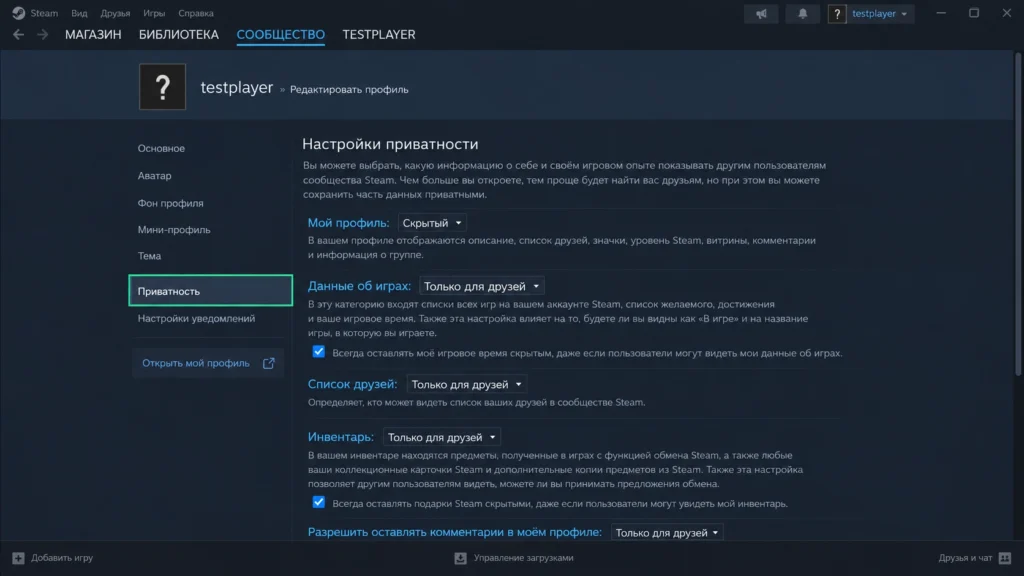 Раздел «Приватность» в редакторе профиля Steam