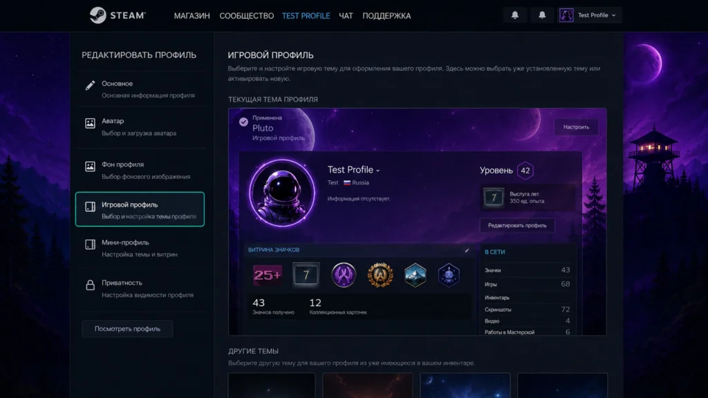 установленный игровой профиль Steam с общей темой оформления.