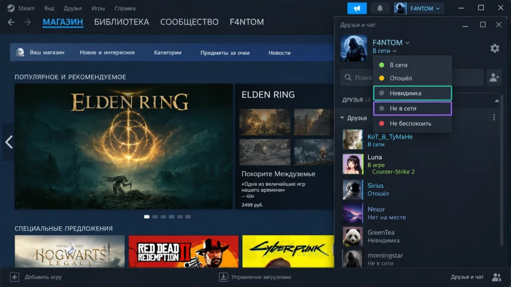 Выбор статуса Невидимка и Не в сети в Steam