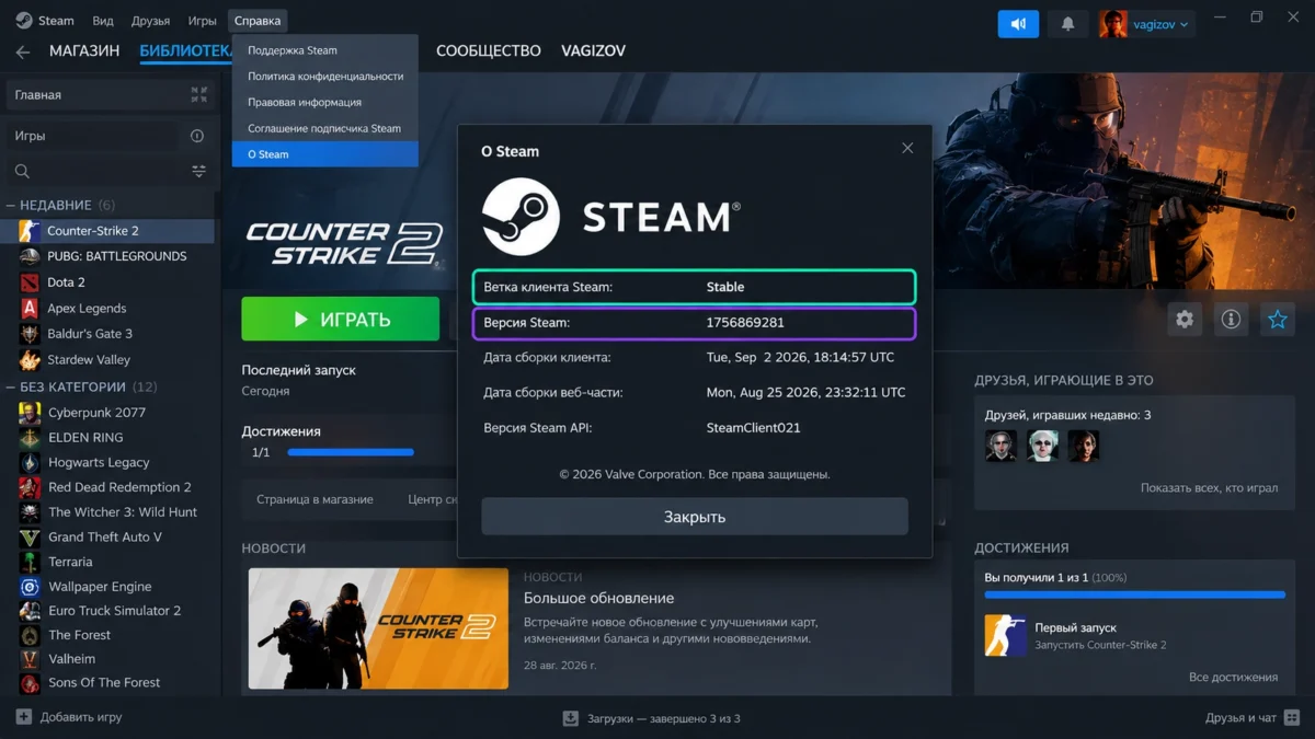 окно Steam с веткой клиента и номером установленной версии