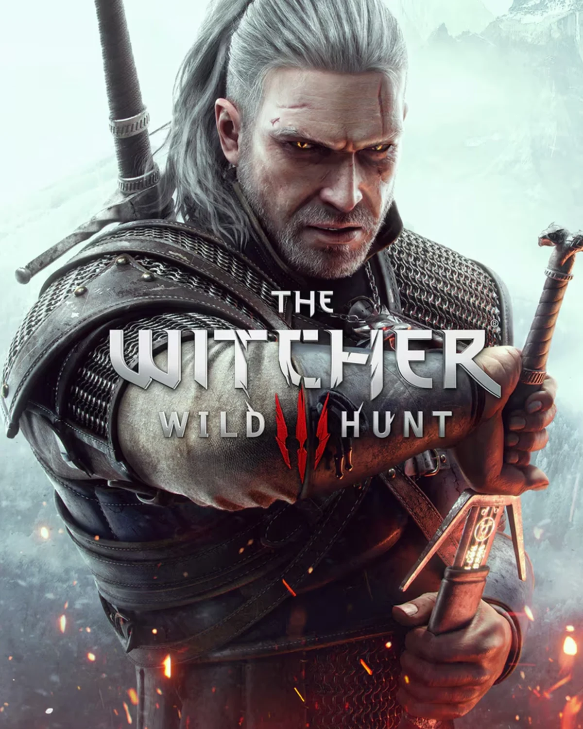 tw3 game cover
