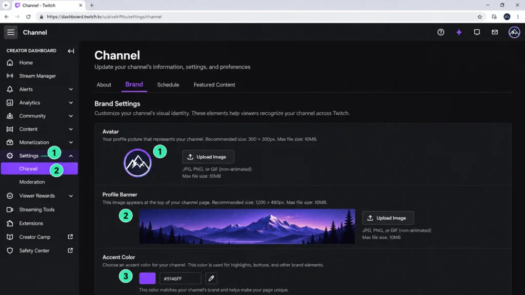 Настройки About Twitch канала с Username, Display Name, Bio и социальными ссылками