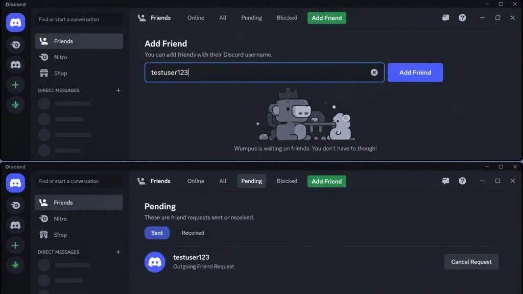 Кнопка Add Friend и поле имени пользователя в Discord