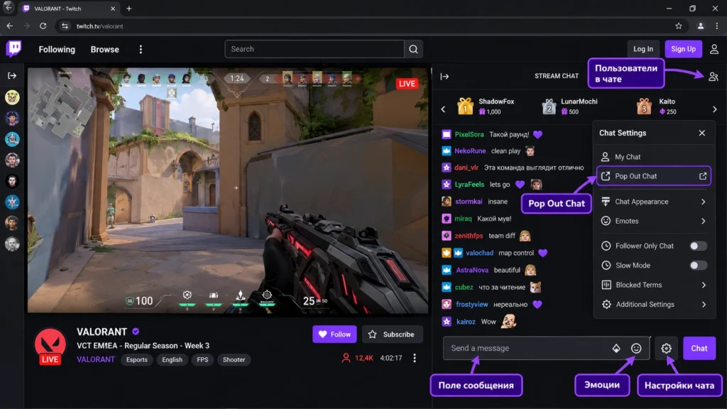 Основные элементы чата Twitch в браузере.